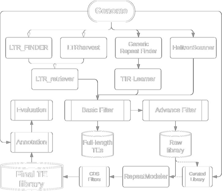 The EDTA workflow